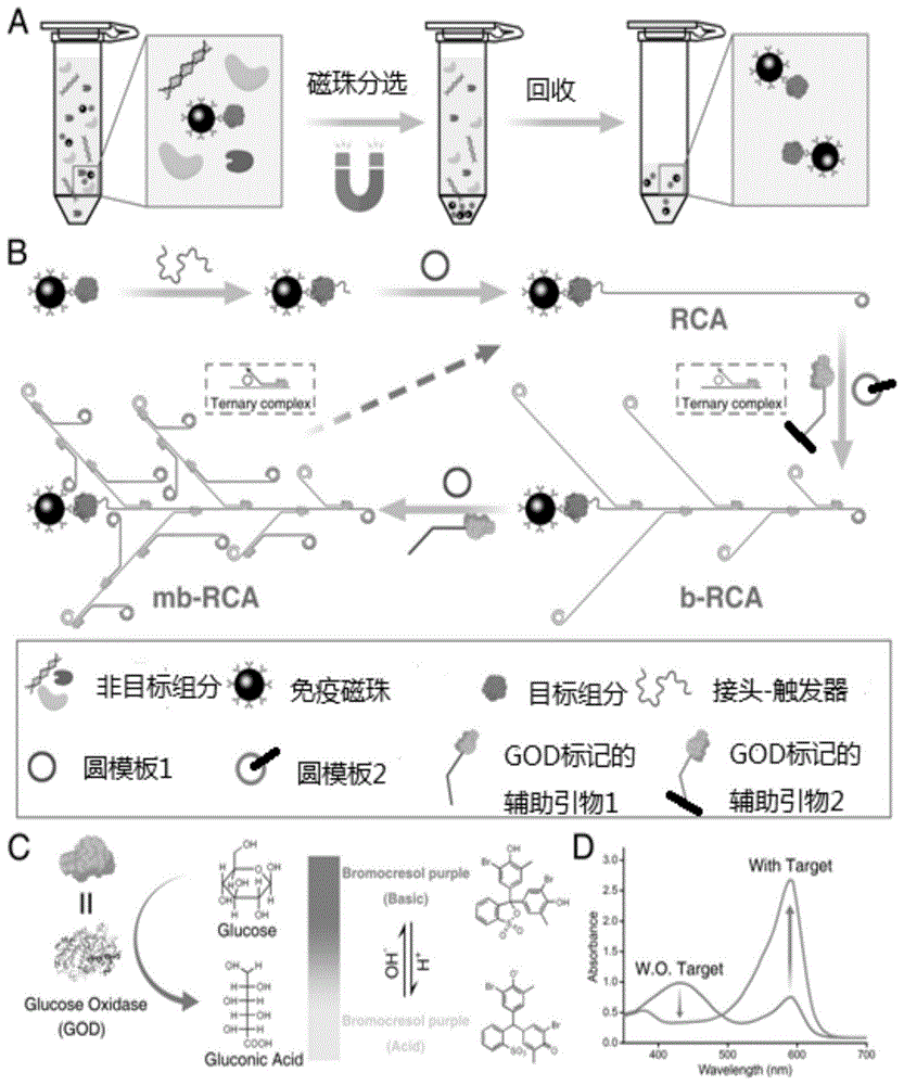 一种检测肿瘤标志物的生物传感器的制作方法