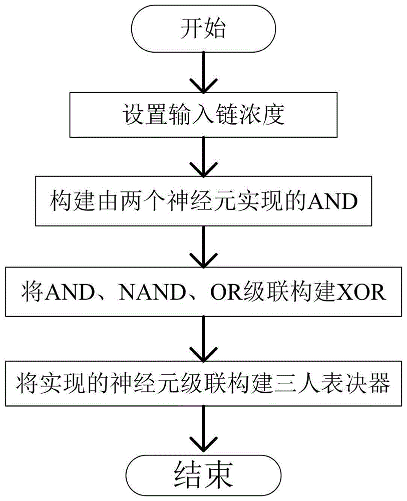 一种基于DNA链置换的竞争神经网络框架的制作方法