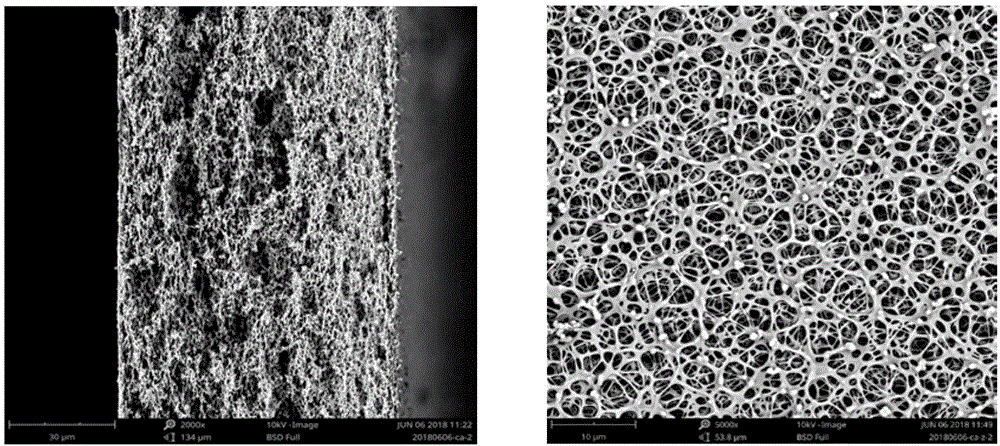 可调控孔径的海绵状结构分离膜的制备方法及其制备的分离膜与流程