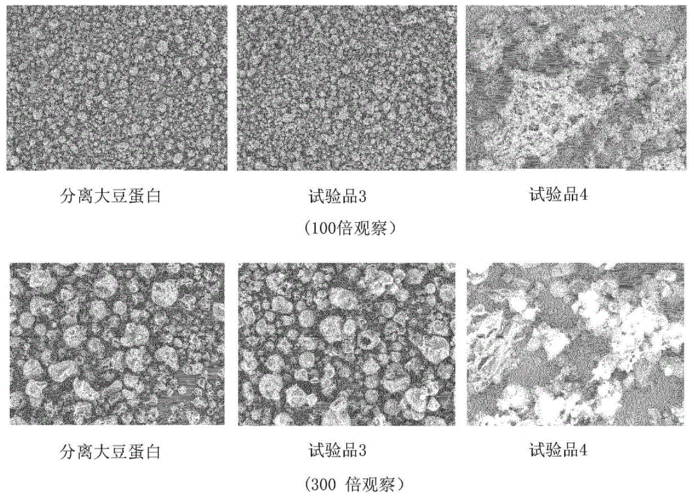 颗粒状蛋白材料及其制备方法与流程