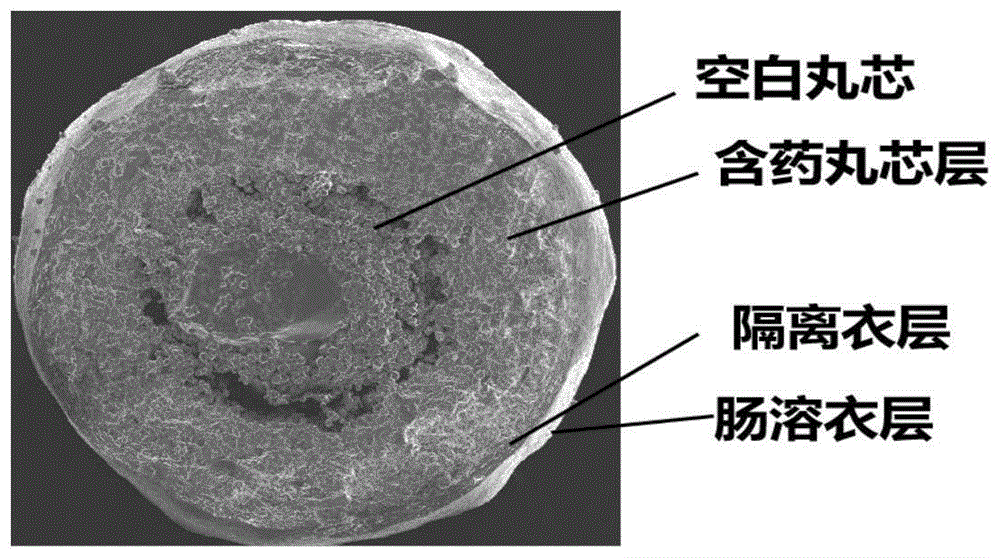 兰索拉唑肠溶微丸及其制备方法与流程