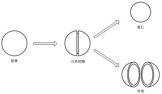 一种自动坚果脱壳机的制作方法