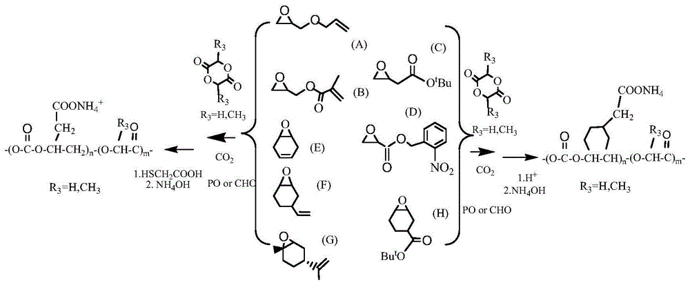 一种二氧化碳基聚碳酸酯聚酯共聚物及其制备方法与流程