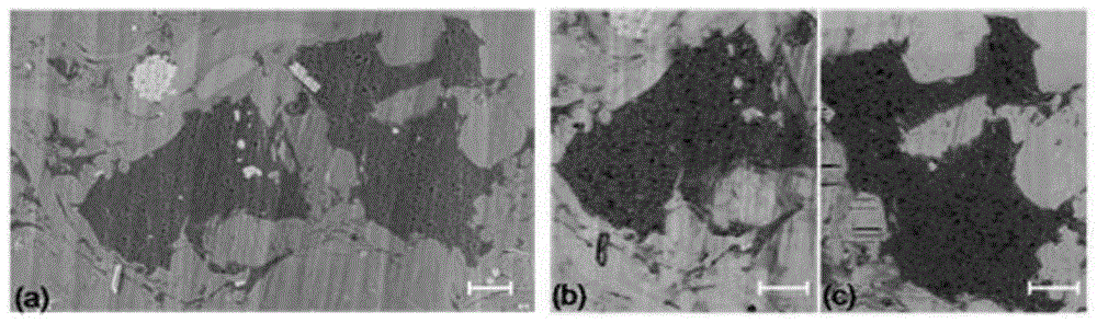 一种页岩样品扫描电镜和原子力显微镜原位观察的方法与流程