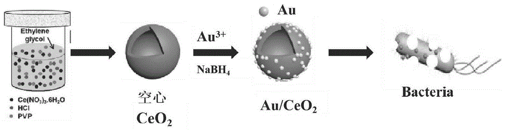 一种Au/CeO2杀菌剂及其制备方法和应用与流程
