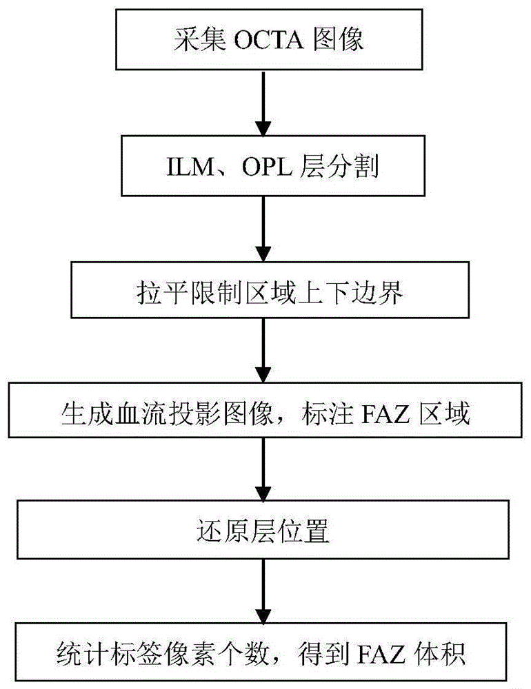 基于OCTA视网膜图像的黄斑中心无血管区体积计算方法及系统与流程