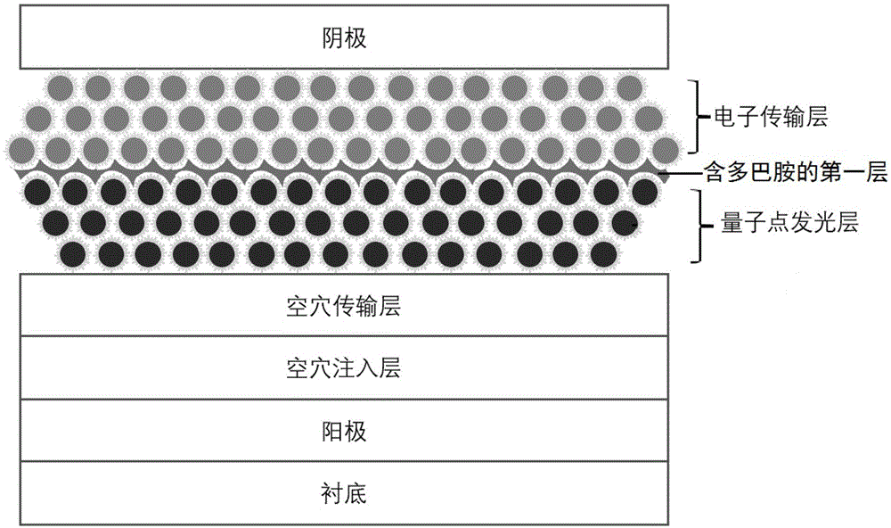 量子点发光二极管及其制备方法与流程