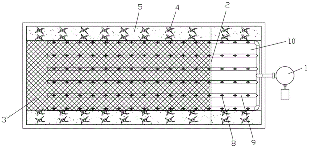 一种生态养鱼池的制作方法