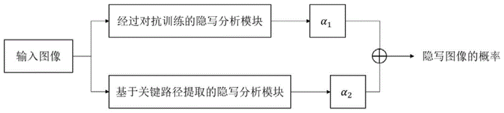 一种基于对抗训练与关键路径提取的图像隐写分析方法与流程