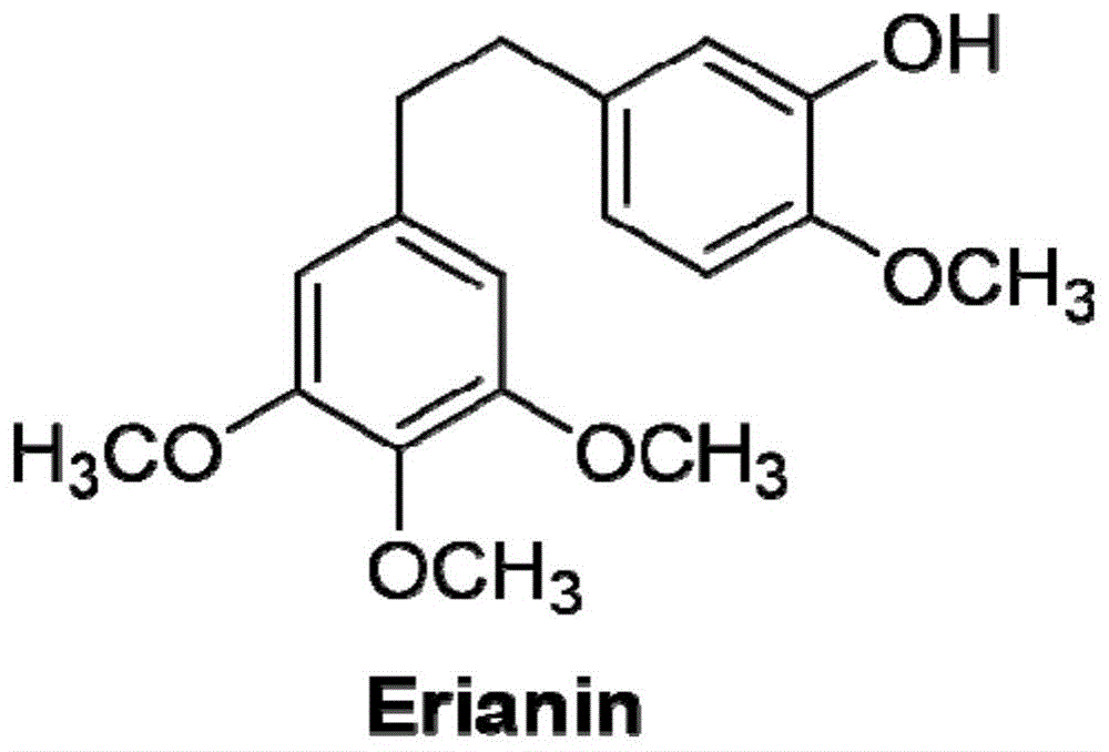丙酮酸羧化酶作为毛兰素靶点蛋白的应用的制作方法