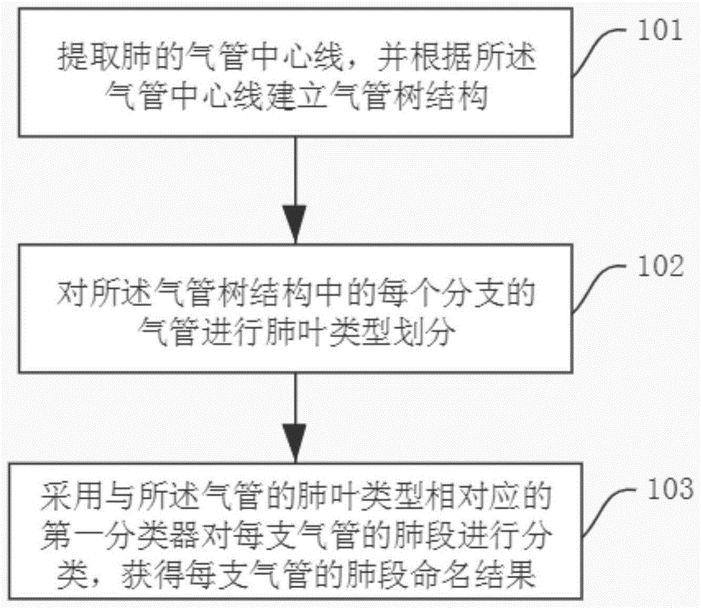 肺气管和血管的分段命名方法及系统与流程