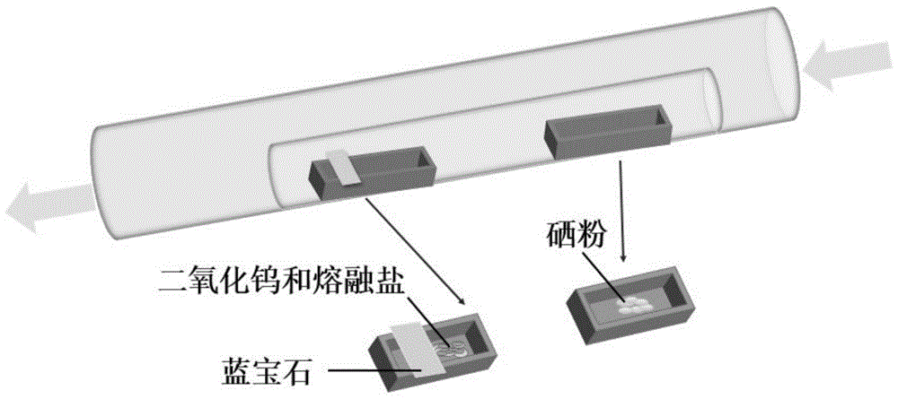 熔融盐辅助化学气相沉积生长多层二硒化钨单晶的方法与流程