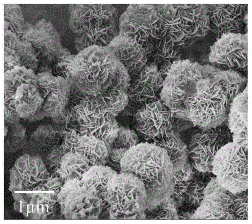 一种花球状共价有机框架材料及其制备与应用的制作方法