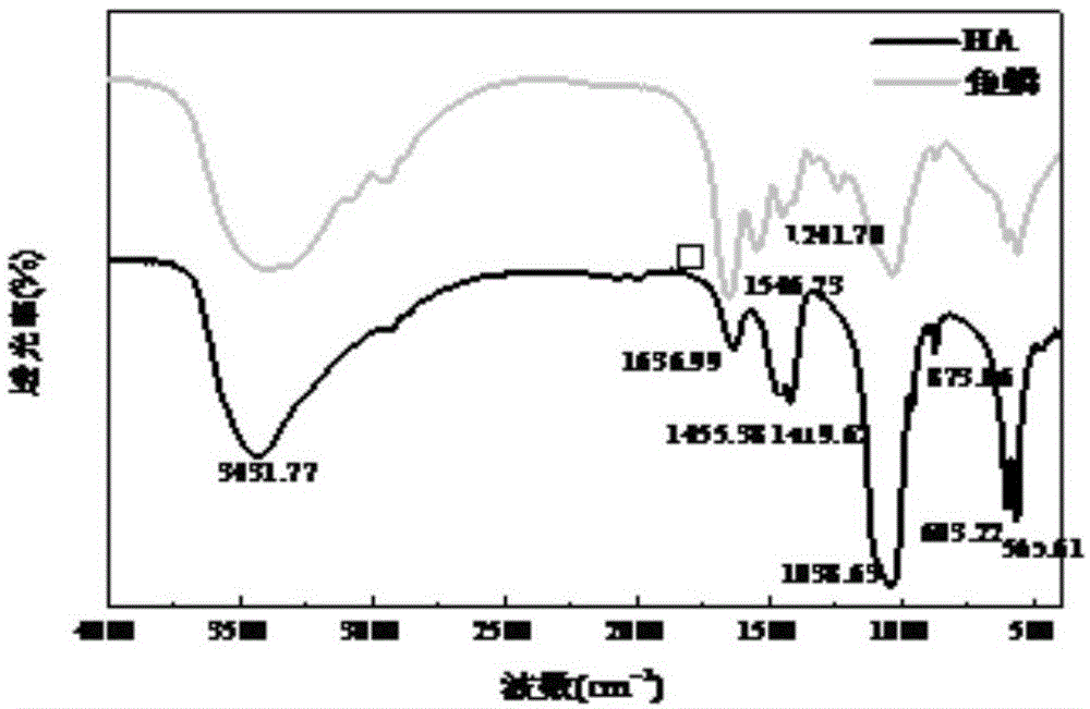 一种低共熔溶剂提取鱼鳞中羟基磷灰石和胶原蛋白的方法与流程