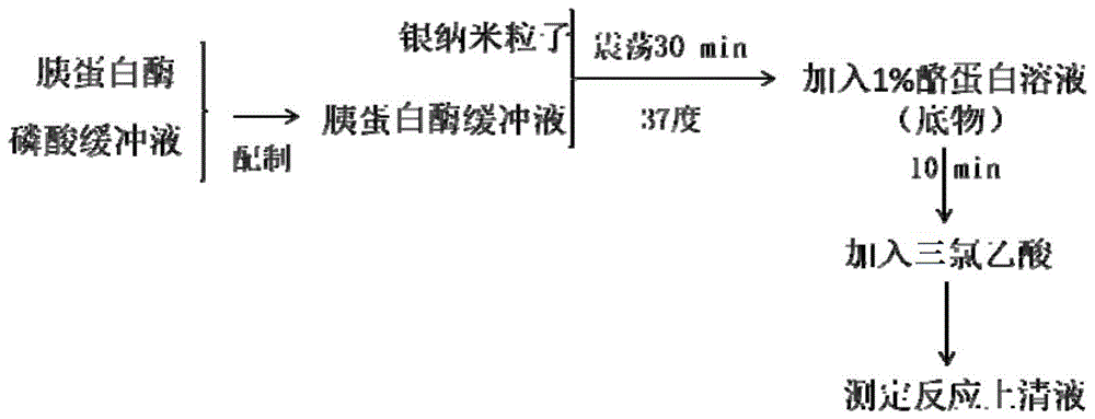 利用银纳米粒子测定胰蛋白酶活性的方法与流程