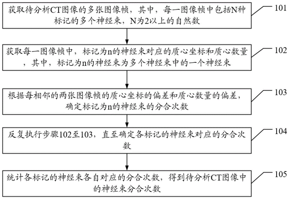 一种CT图像中神经束分合次数的统计方法和相关装置与流程