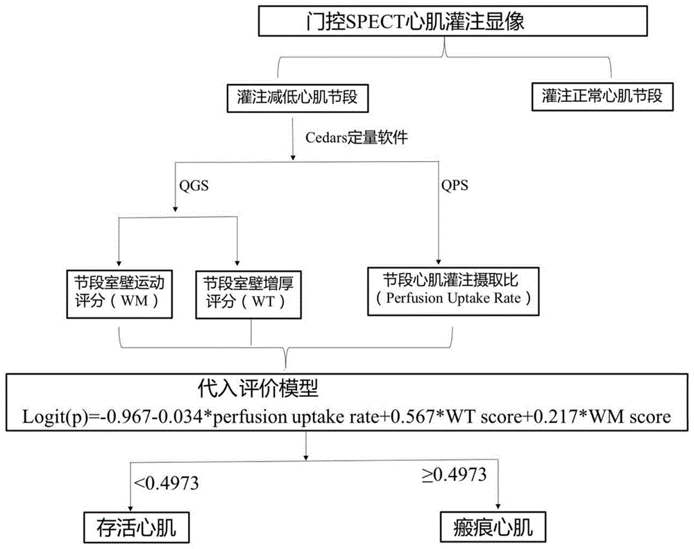 存活心肌评价方法与流程