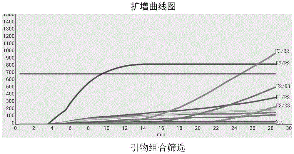 一种快速检测猴免疫缺陷病毒SIV引物、探针及其试剂盒和使用方法与流程