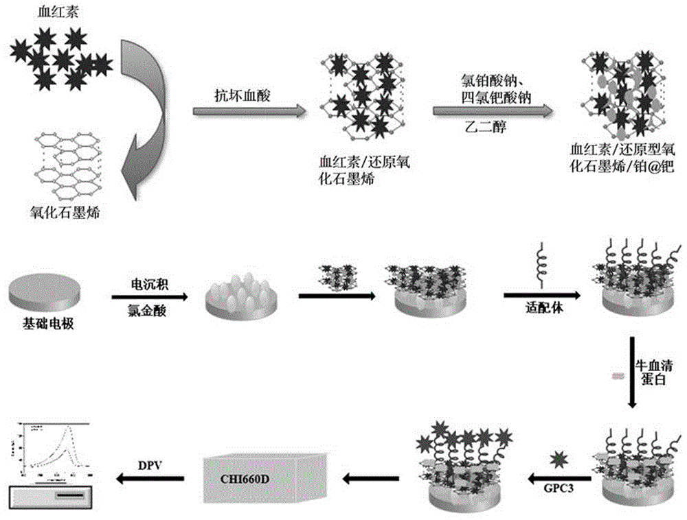 一种基于H-rGO-Pt@Pd NPs纳米复合材料检测GPC3的方法与流程