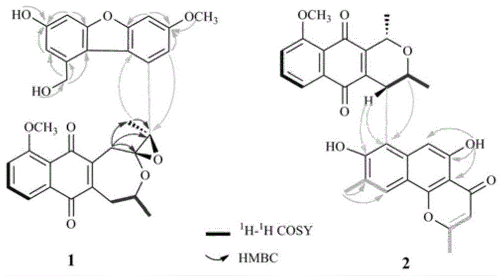 黎药红葱中两个新颖萘醌二聚体及其制备方法和应用与流程