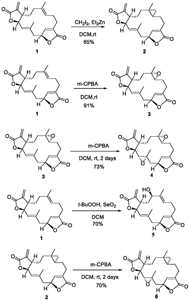 Ovatodiolide衍生物及其盐，制备方法及其在制备抗癌药物中的用途与流程