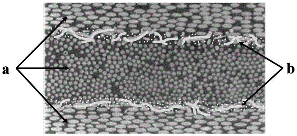 一种芳纶纤维/碳纳米管复合增强碳纤维树脂预浸料的制作方法