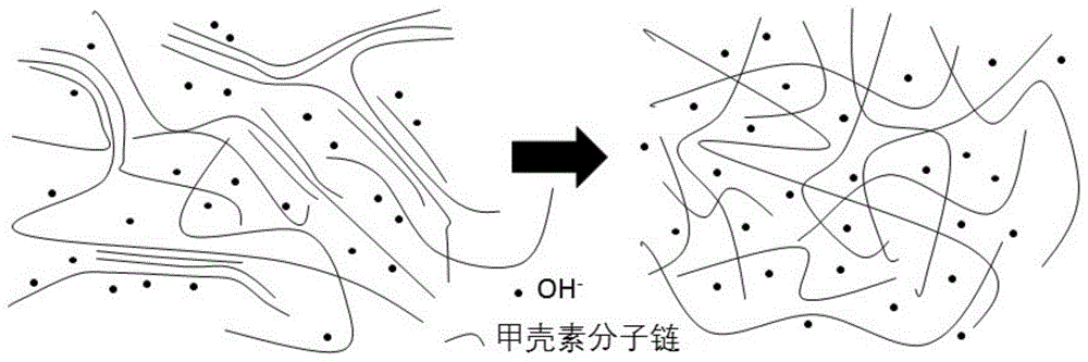 一种高脱乙酰度和高分子量的壳聚糖及其制备方法与流程