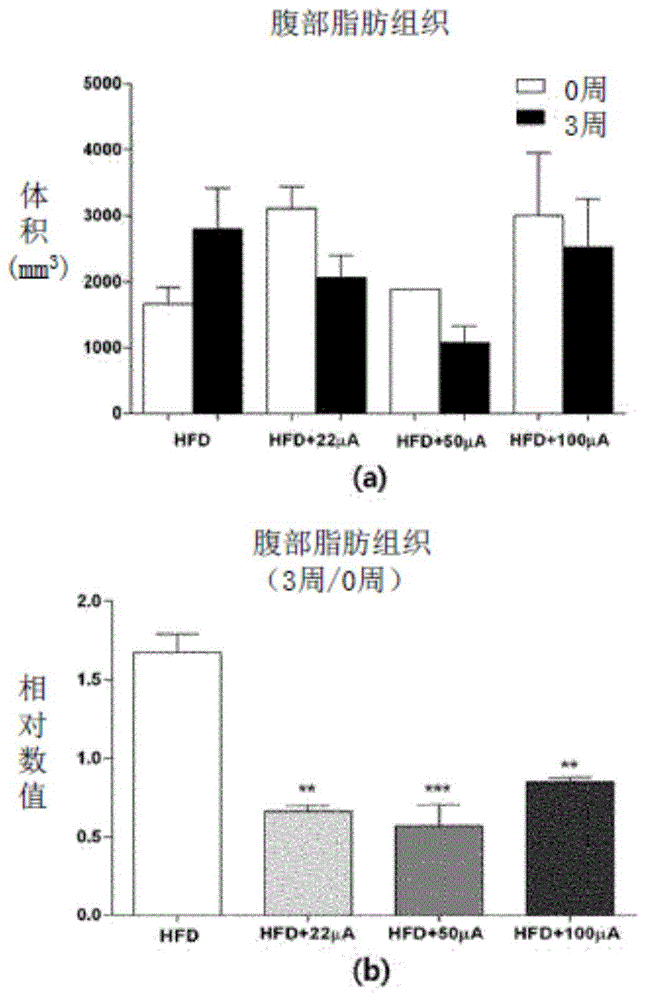 用于分解体脂肪以及减轻体重的减肥功能性织物的制作方法