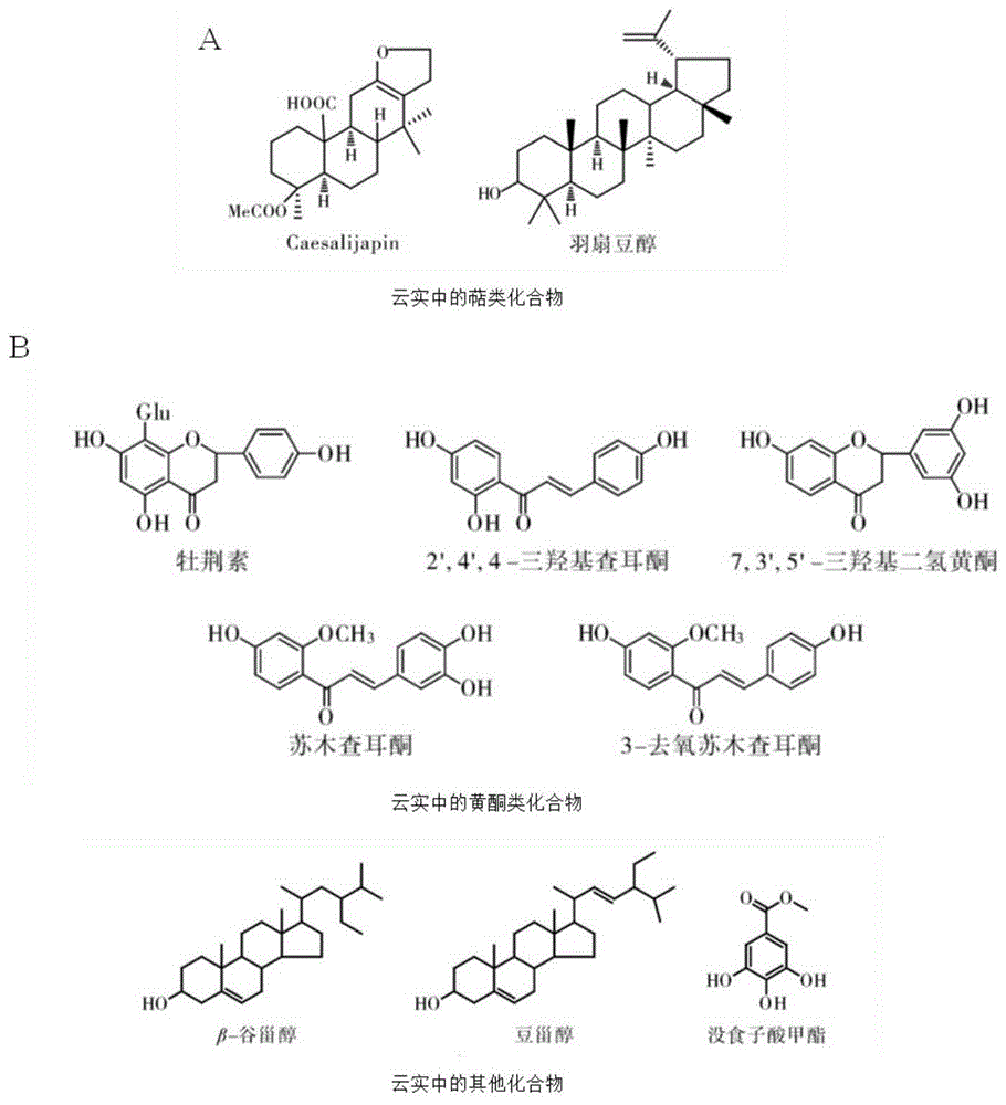 一种预防或治疗流感病毒感染的药物及用途的制作方法