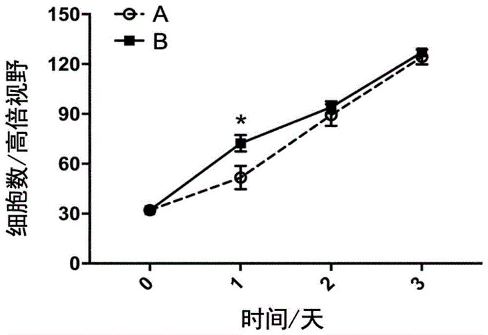 注射用胶原酶应用于SVF的制备及SVF的制备方法与流程