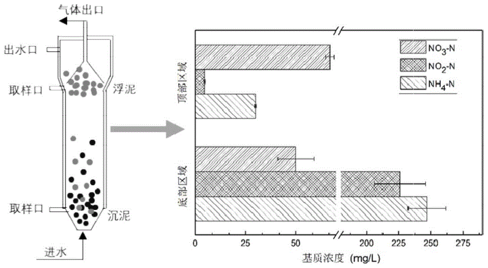 一种评价厌氧氨氧化颗粒污泥上浮的方法与流程