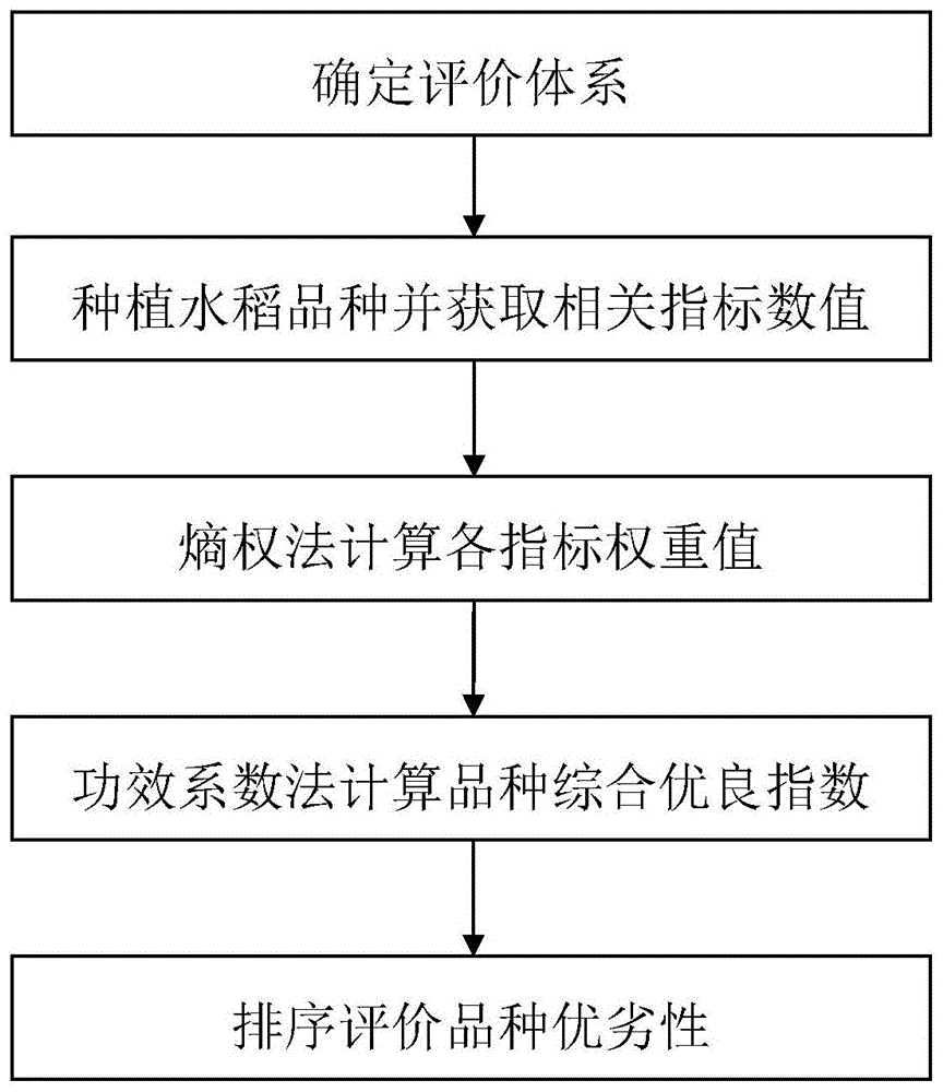 一种水稻品种综合优良指数评价方法与流程