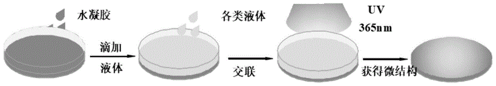 一种较低相转变温度水凝胶、制备方法及其应用与流程