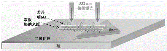 一种表面增强拉曼散射基底及制备方法与流程