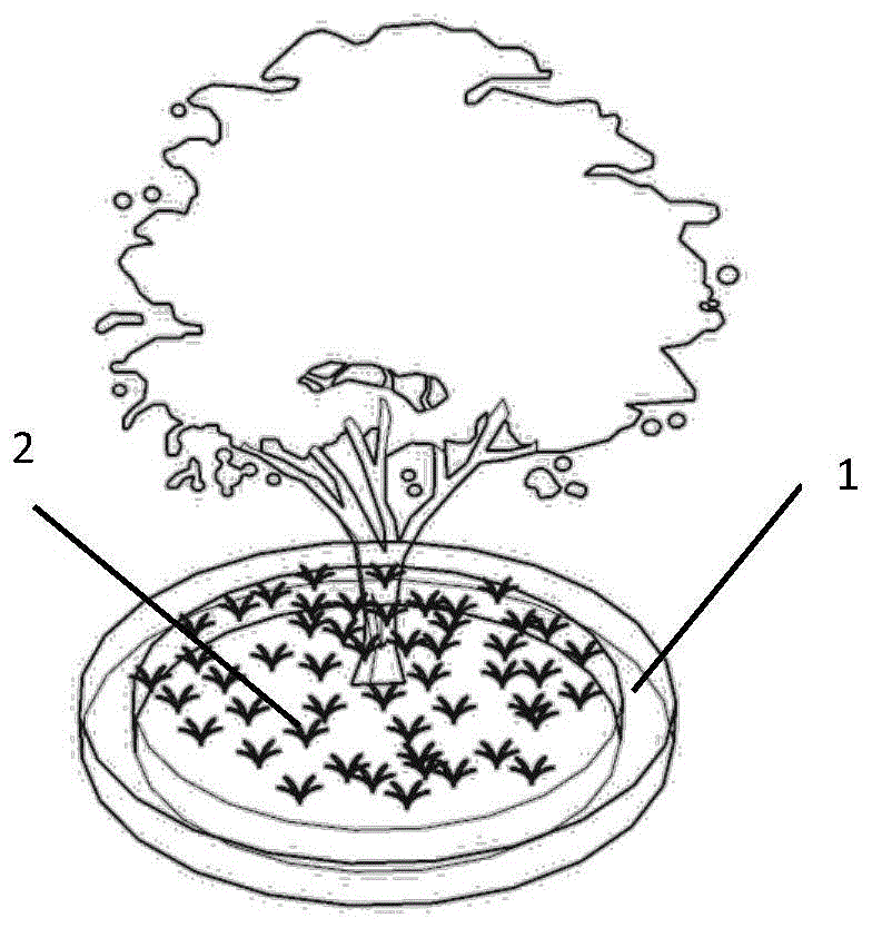 本发明涉及植物种植技术领域,具体涉及一种提升果树土壤肥力的方法.