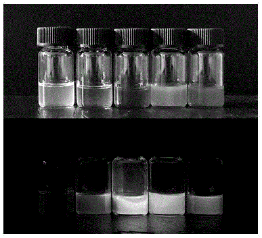 荧光聚乳酸复合材料及其制备方法与流程