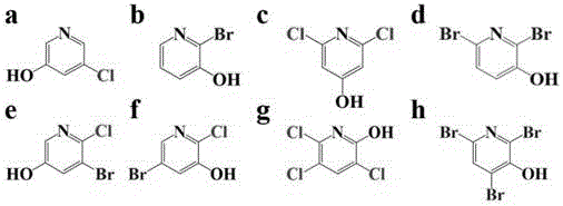 一种水体中卤代吡啶醇类消毒副产物的检测方法与流程