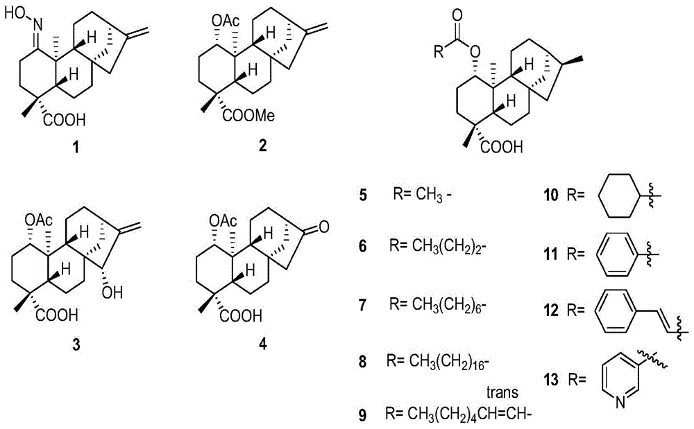 先花铃子香素A衍生物与其药物组合物及其制备方法和应用与流程