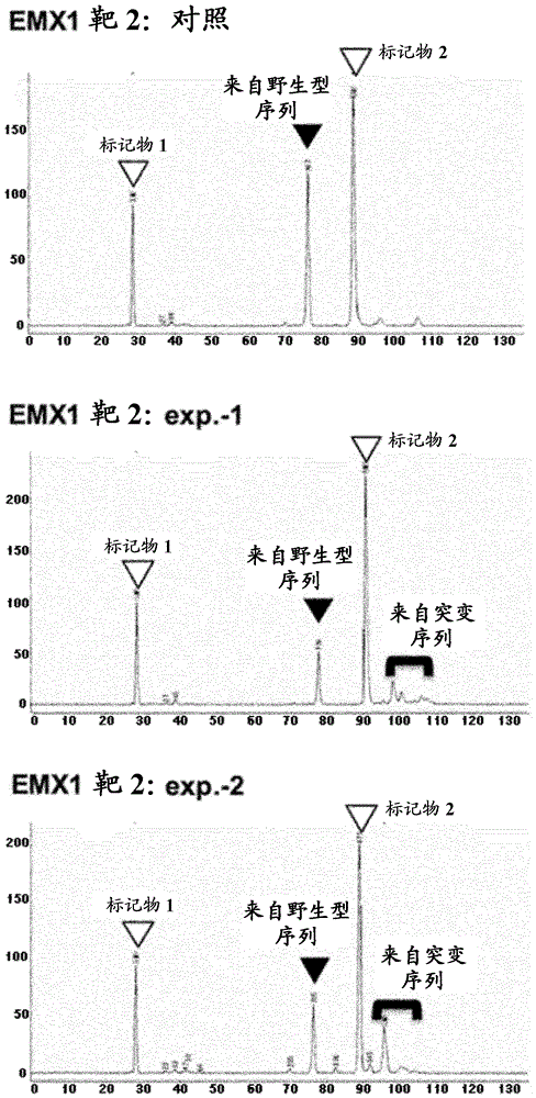 使用核苷酸靶识别的靶序列特异性改变技术的制作方法