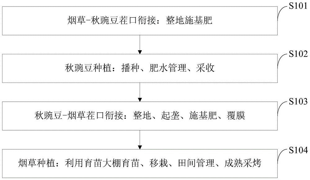 一种烟草-秋豌豆一年两熟种植方法与流程