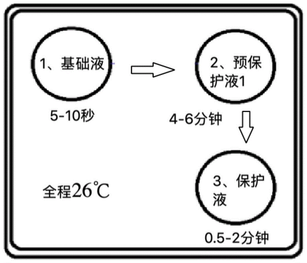 卵子或卵裂期胚胎的玻璃化冷冻液及冷冻方法与流程