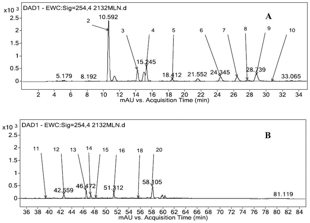 一种基于UPLC-DAD-MS研究脉络宁注射液指纹图谱的分析方法与流程