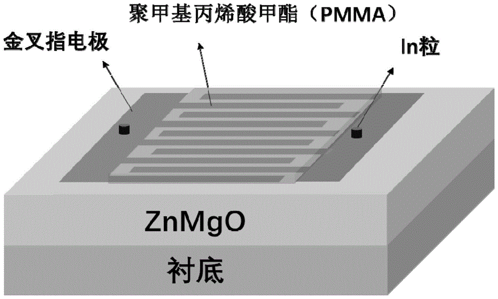 一种ZnMgO紫外探测器及其制备方法与流程