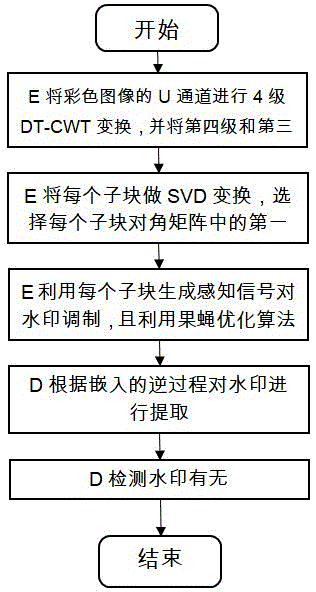 基于DT-CWT和SVD变换的鲁棒彩色数字图像水印方法与流程