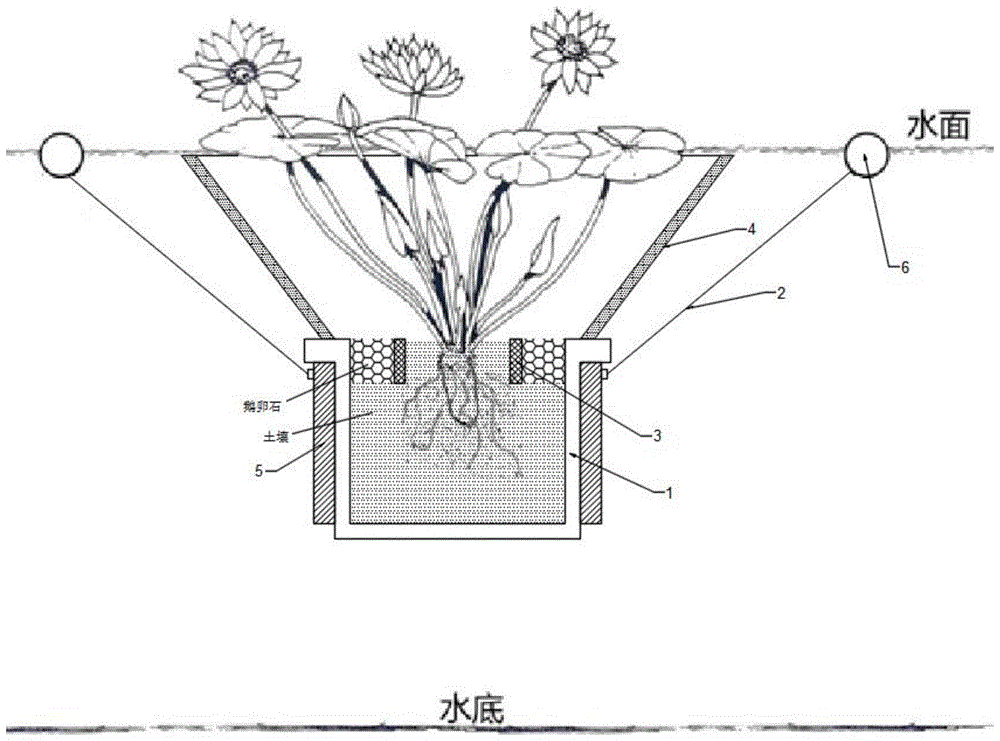 一种深水区域睡莲防护与种植装置的制作方法