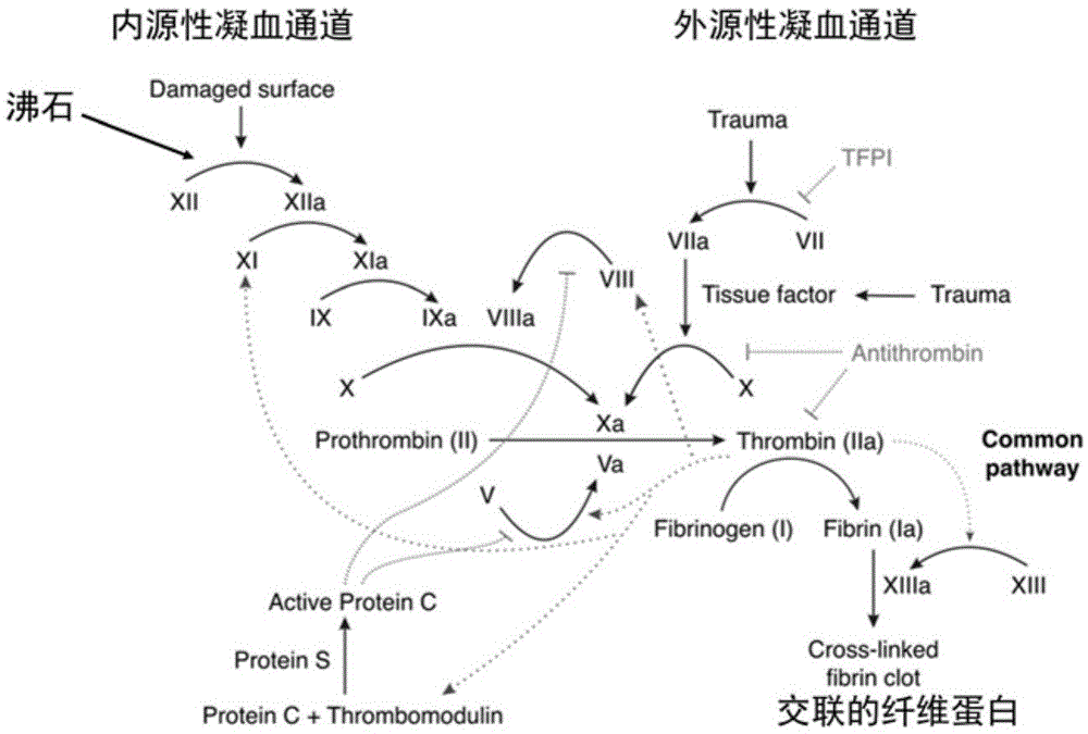 一种止血组合物及其制备方法与流程