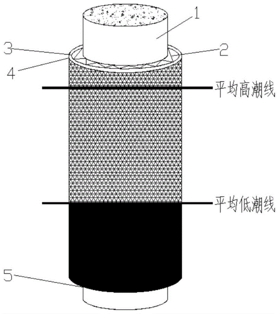 一种海洋环境下生态型高耐久混凝土结构建造方法与流程