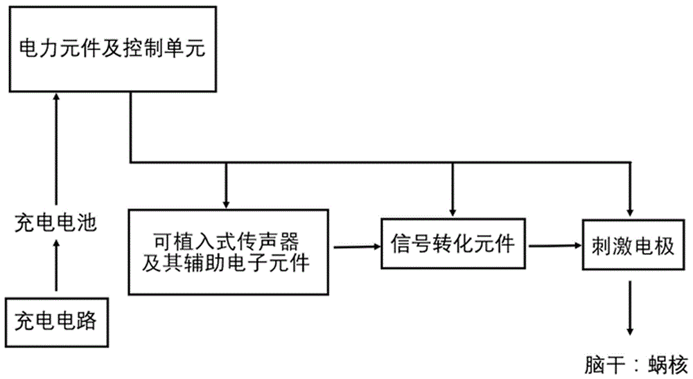 全植入式听觉脑干植入装置的制作方法