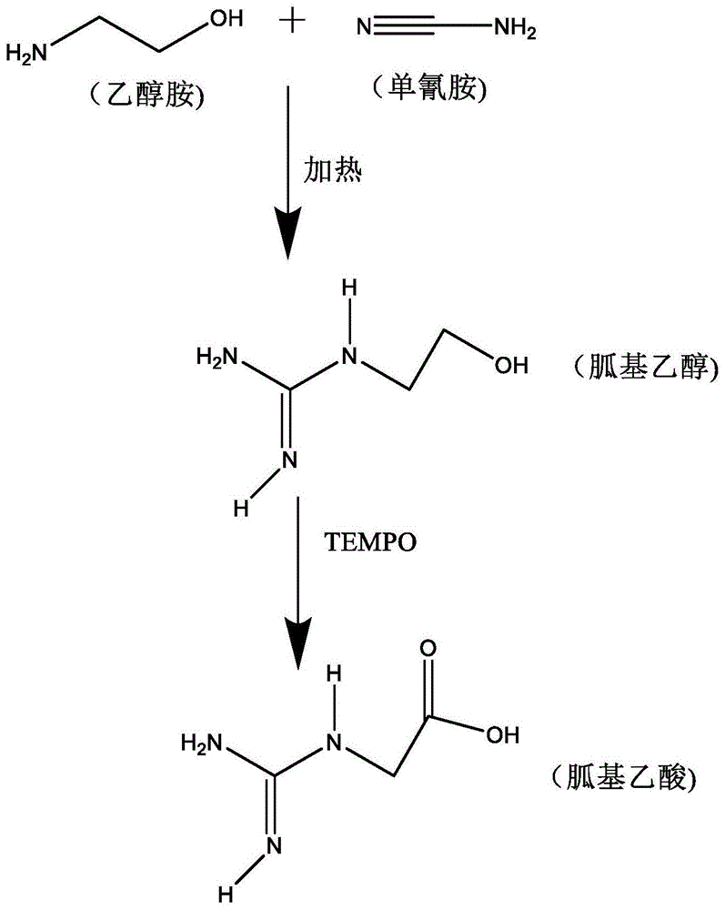 一种胍基乙酸的制备方法与流程