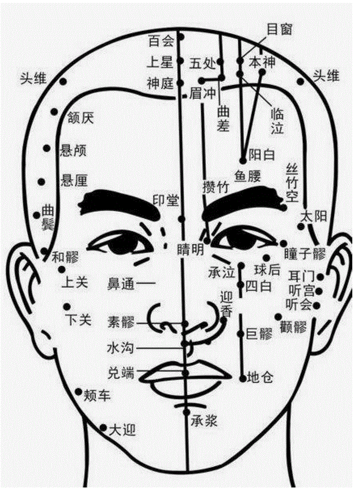 一种穴位爆珠型中药面膜、制备方法及应用与流程